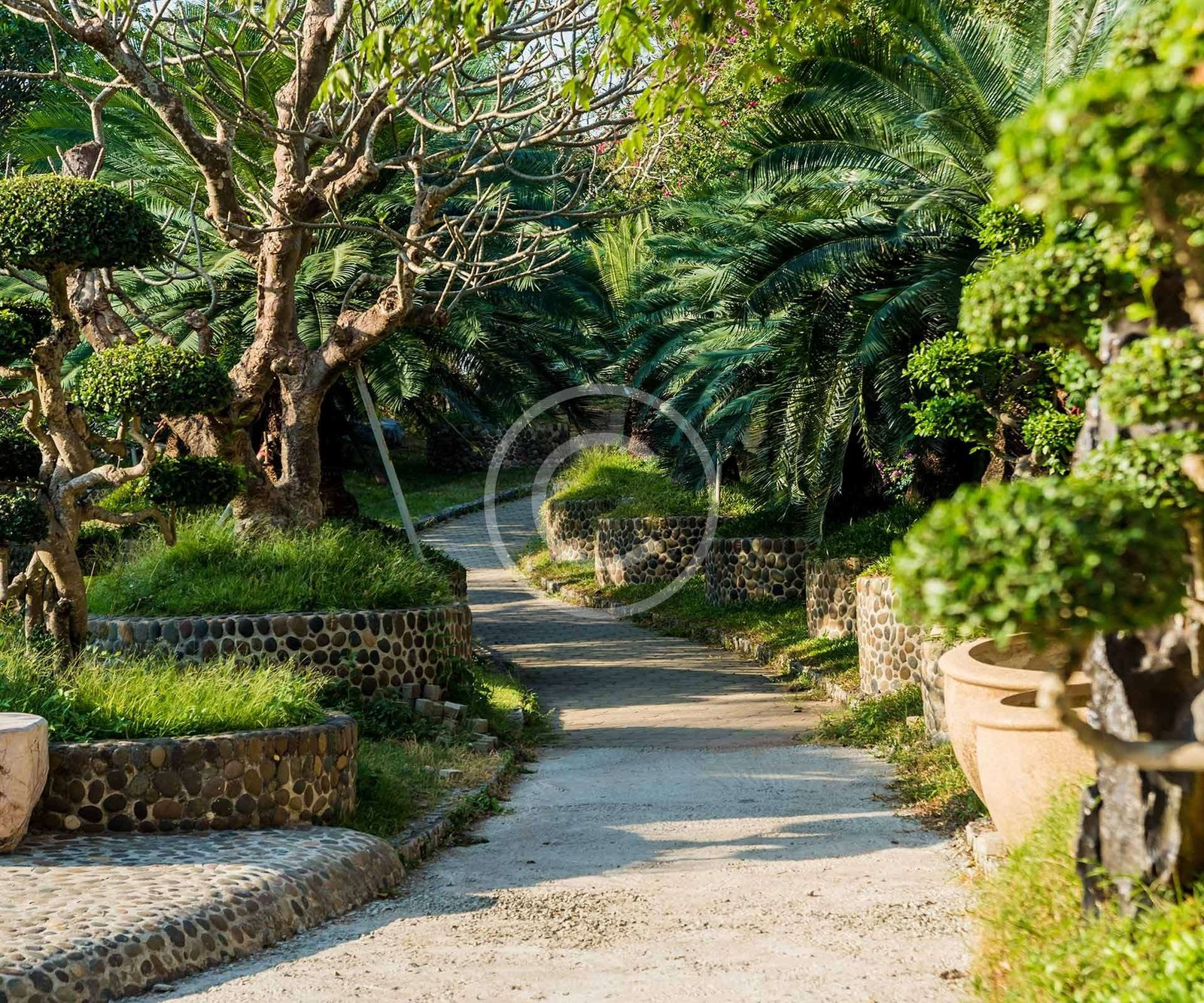 Tranquil path